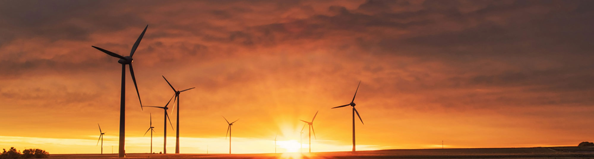 Corporate Sustainability Policy