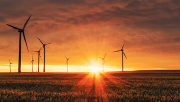 Corporate Sustainability Policy