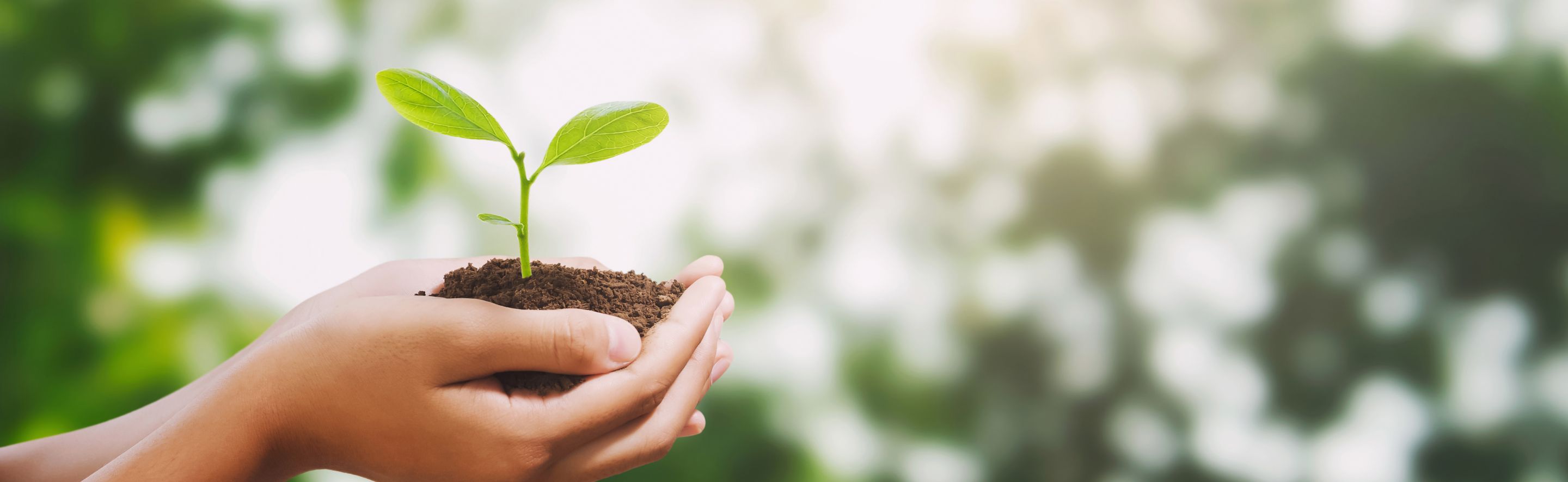  Driving Sustainability through Innovation and World-class Practices 