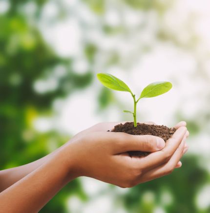  Driving Sustainability through Innovation and World-class Practices 
