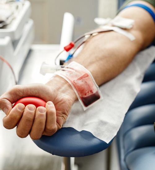 Healthcare Support
