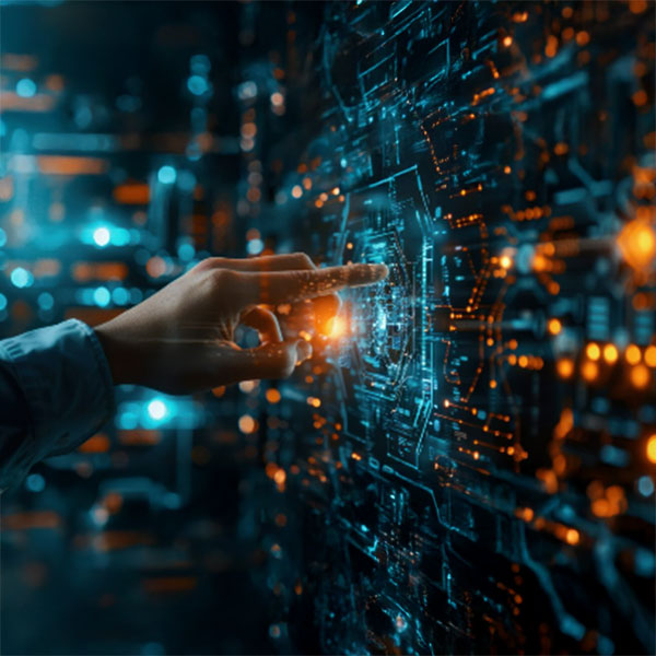 Network Monetization Services