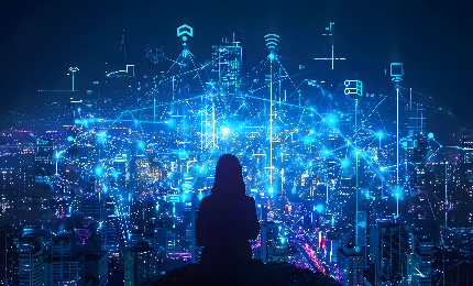 Network Monetization Services